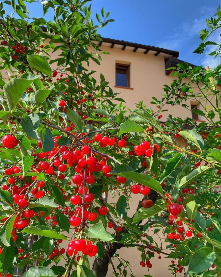 Casa Due Marie Marano Sul Panaro Marano sul Panaro Exterior foto
