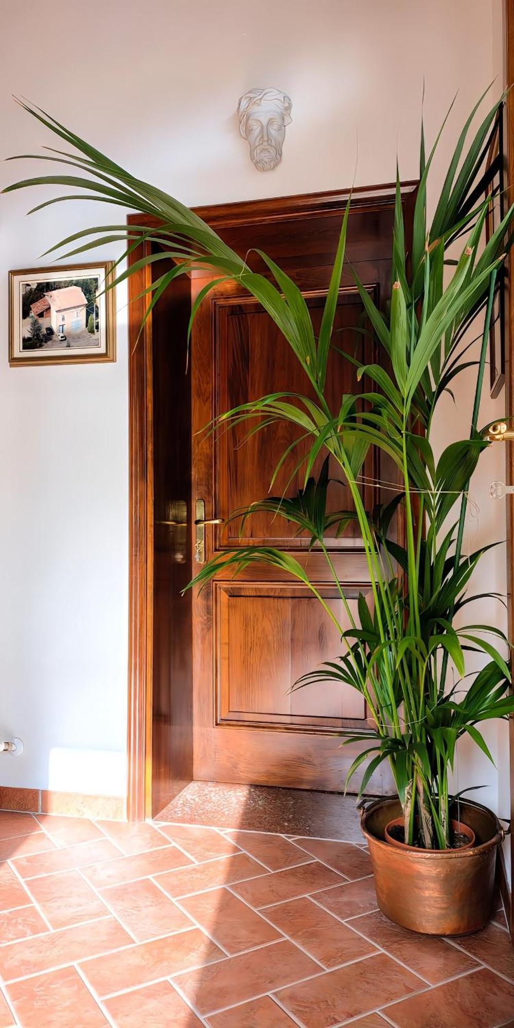 Casa Due Marie Marano Sul Panaro Marano sul Panaro Exterior foto